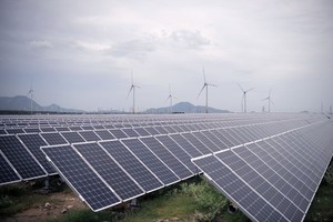 EVN to boost clean energy development