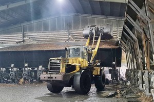 Cashew oil extraction helps solve environmental pollution, create more revenue