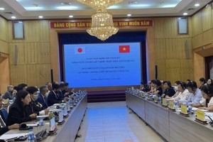Vietnam, Japan review joint initiative