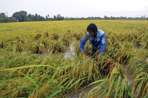Southern provinces told to brace for severe weather this year