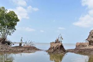 Kien Giang Province invests more than VND17 trillion to prevent erosion