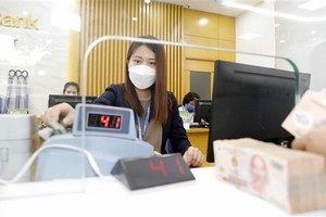 SBV’s rate hike necessary to defend VND, control inflation: ADB Country Director