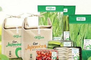 Annual export of organic agricultural products reaches US$335 million 