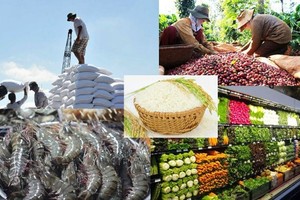 Agricultural sector aims at export turnover of US$50 billion in 2022