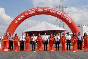 Bung Bridge connecting Binh Tan, Tan Phu opens to traffic