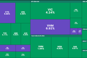 Shares soar on the rise of pillar stocks