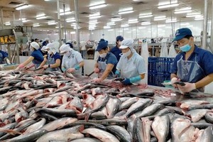 Pangasius exports estimated to hit US$2.4 billion in 2022