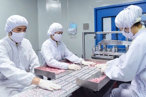 Vietnam’s pharmaceutical industry yet to develop properly