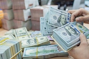 SBV sets rules on transfer of money abroad for sponsorship, assistance purposes