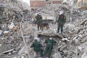 Vietnamese military rescue team returns home from Turkey