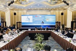 Vietnam has dual opportunity from offshore wind power: Danish Ambassador