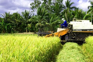 Workshop discusses growing 1 million ha of high-quality rice