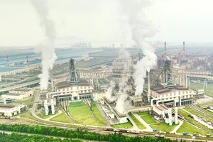 Vietnamese enterprises prepare for carbon credit market