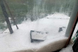 Unusual hail in dry season causes heavy crop losses