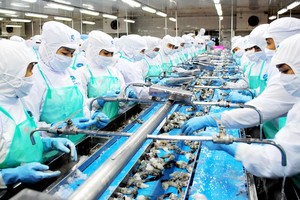 Significant efforts needed to realize US$4.3 billion shrimp exports