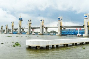 Natural farming: Changing mindset, creating breakthroughs for development