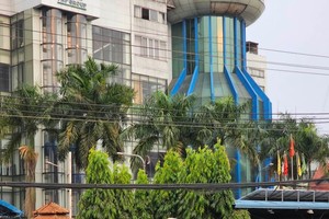 Chairman of Tan Hiep Phat, his daughter arrested