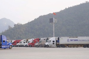 Northern border gates see bustling import and export during holidays