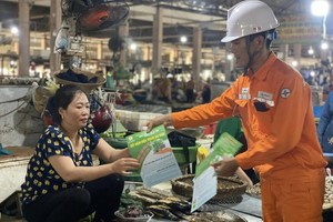 Vietnam faces power shortage despite excess of renewable energy