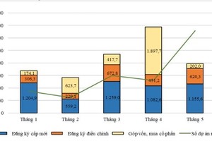 FDI capital touches US$11 billion in five months
