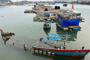 26 sunken fishing boats to be salvaged at Quang Ngai estuary