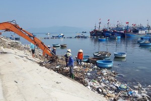 Binh Dinh’s estuary cleaned up after SGGP Newspaper’s report
