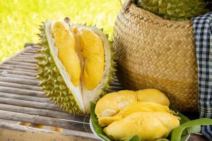 UK a potential market for Vietnamese durian: insiders
