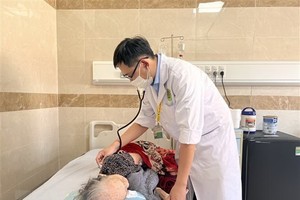 Vietnam, Japan share experience in non-communicable disease prevention, control