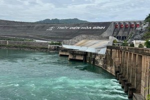 Prolonged hot weather drives up power demand