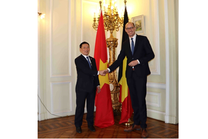 Vietnam, Belgium to boost green finance cooperation