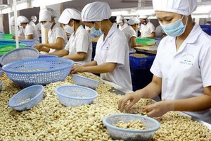 Pepper, cashew exporting businesses to Dubai indicate being victims of scams