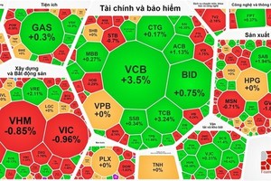 Despite king stocks’ rise, VN-Index fails to pass 1,200-point mark
