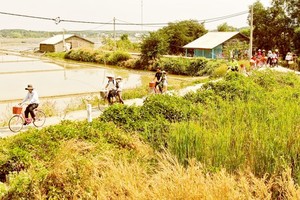 Vietnam's tourism industry making non-stop efforts to find new customers