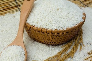 Regulations should not create inertia for rice exports