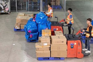 E-commerce urged to go green to ease environmental impact