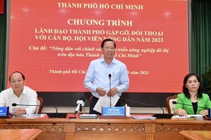 Balancing urban, rural development: HCMC's vision for agriculture