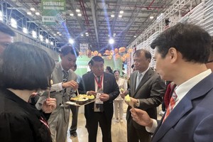 HCMC: Bright spots in business, production activities