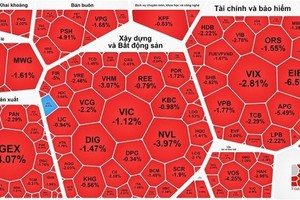 VN-Index plummets due to sell-offs
