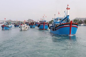Vietnam seriously implements EC recommendations in IUU fishing combat: Ministry