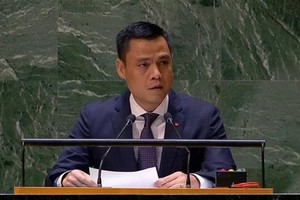 Vietnam urges peace and civilian protection in Gaza Strip