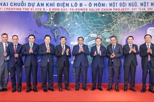 US$12 billion gas-to-power value chain project rolled out