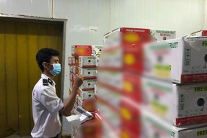 Intricate plant quarantine process impacts agricultural imports, exports