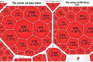 Domestic individual investors close over 500,000 securities trading accounts