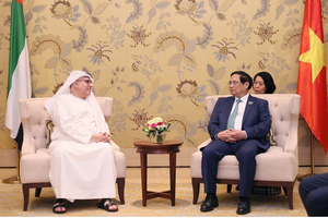 Labor cooperation important part of Vietnam-UAE ties: PM