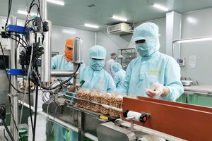 VINACAS’s conference aims to reshape global cashew supply chain