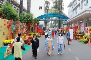 Flower streets bring spring to patients in HCMC