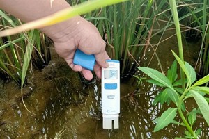 Saltwater intrusion in Southern region hits level 2