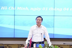 Deputy PM addresses materials shortage problem for building HCMC Ring Road No.3