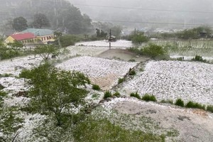 Northern region transitions into scorching heat after prolonged rainy days