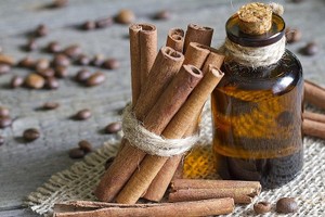 Vietnam strives to remain world’s biggest cinnamon exporter